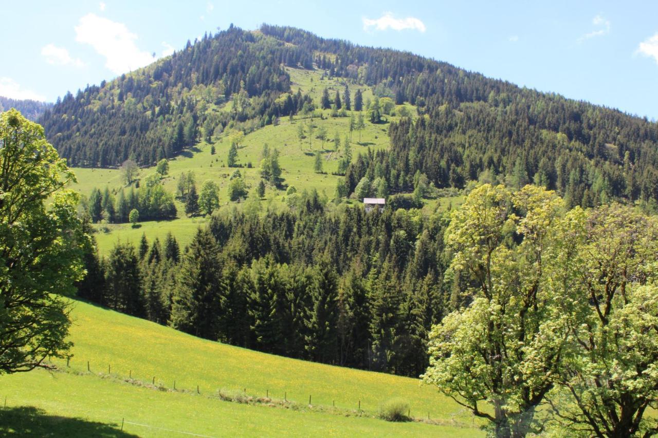 Zauneralm Айх Екстериор снимка