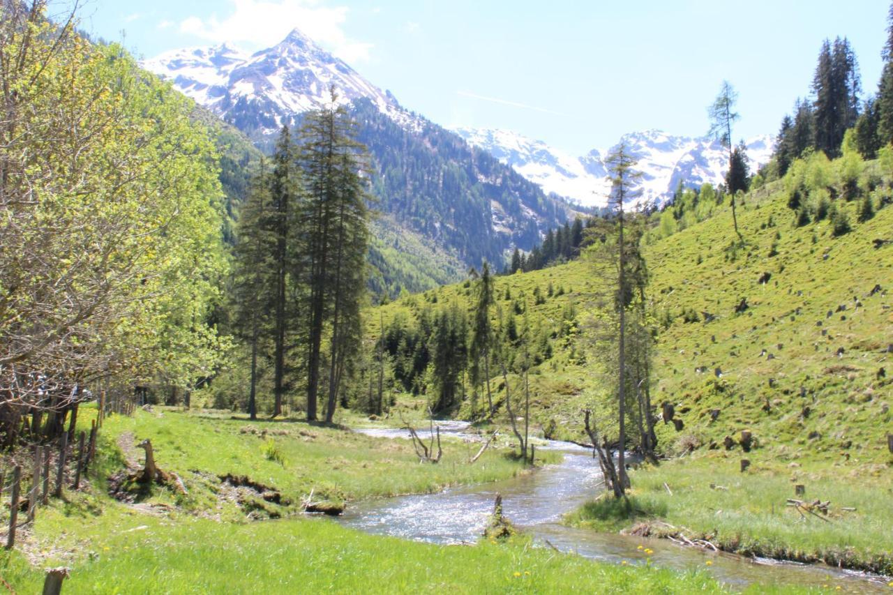 Zauneralm Айх Екстериор снимка