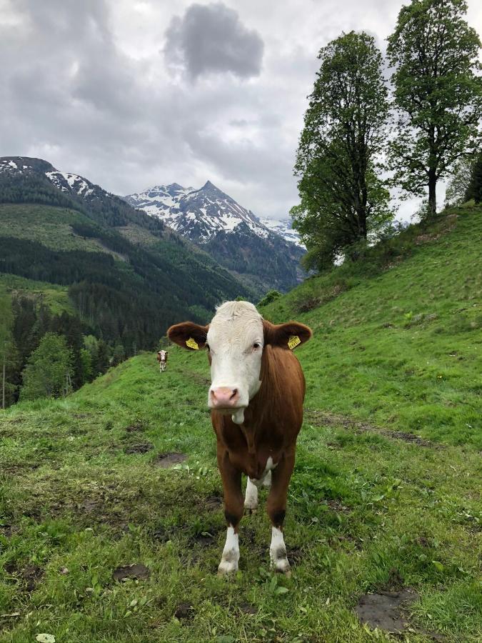 Zauneralm Айх Екстериор снимка